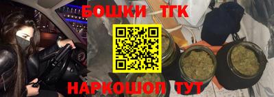 тгк Брянск