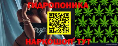 ALPHA PVP Боровичи